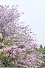 F038F21D-0B5B-4305-8A2B-9F77A228E4BA/L0/001
