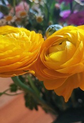 959973
