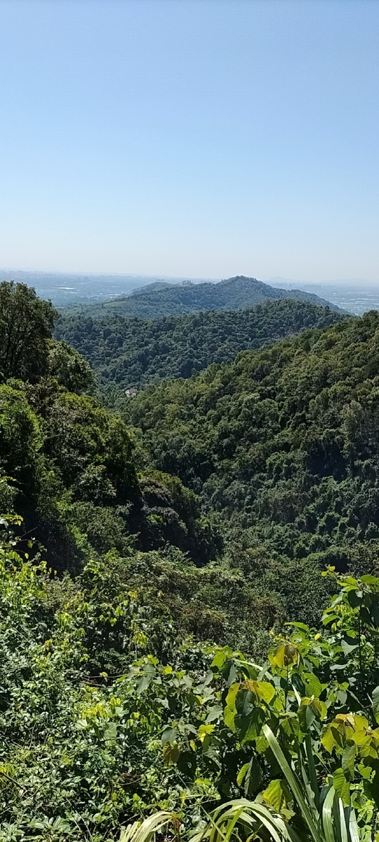 美丽山林风景每日更新 - 摄影师163613034060948 - 图虫