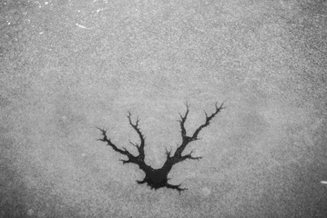 02C16E4C-9735-4C99-A5A7-491312022B98/L0/001
