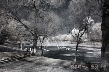 BF145594-69D3-4891-9B9A-4FDD6F0BB011/L0/001