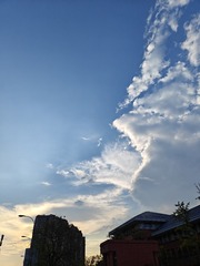 1000067401