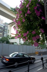 20120527-R0010791-1.jpg
