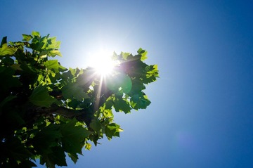 20120605-R0011015-1.jpg