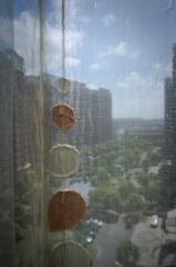 20120721-R0011079-1.jpg