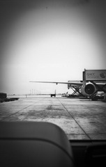 20120809-R0011197-1.jpg