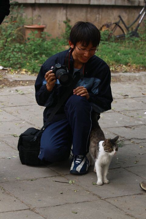 正在与人亲近的校园猫<br />