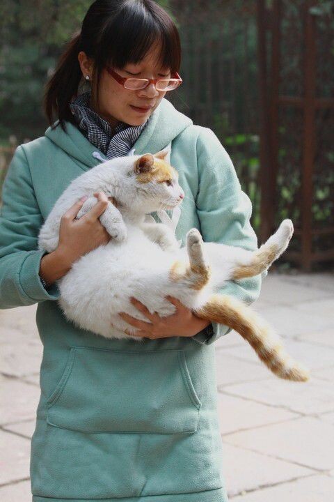 怀抱校园猫的“猫协”同学<br />