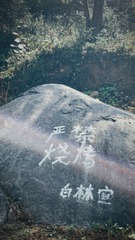 342305B1-587F-496D-944C-F7611D2A52A5/L0/001
