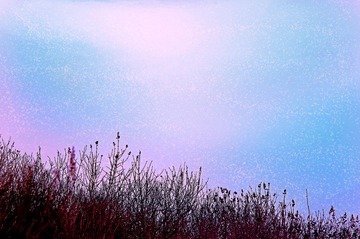 DSC_0096_1.jpg