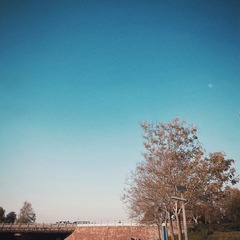 8081F654-DBBE-4BB8-8A77-5243C3CF1CFB/L0/001