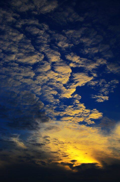 夕阳<br />
