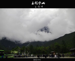 云杉坪