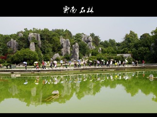 石林