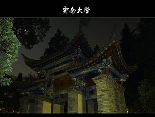 云大