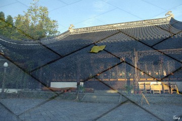 CTK_7937.JPG