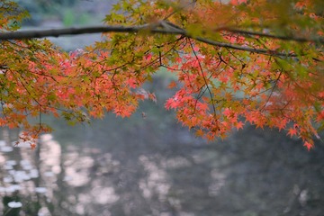 D8275A0B-53FE-4855-AEFB-E21064ADB8F7/L0/001