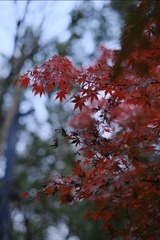 02C320DE-50CA-42DE-9B78-0A9B430F8CAC/L0/001