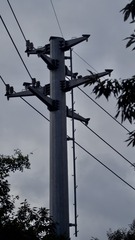 CED2AB39-B94B-4902-93BF-47B244F55C41/L0/001