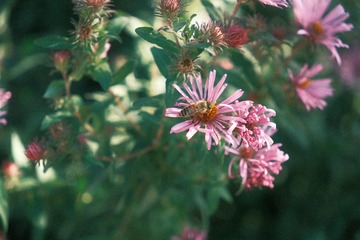 8CD1ECAA-6DBB-41B7-99A9-6270247CC7CA/L0/001