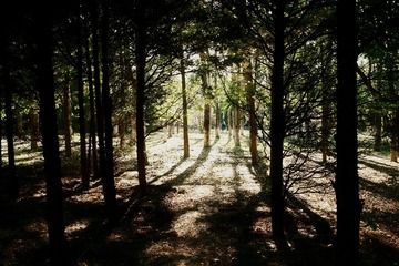 E32E3F0F-D4C7-4D82-A6B4-499F03EE6C86/L0/001