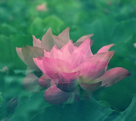 120323