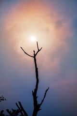 _MG_3063.JPG