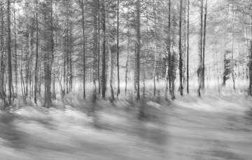_MG_8091.jpg