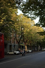 2FAD7DB6-29CE-4C24-B561-815939E6E188/L0/001