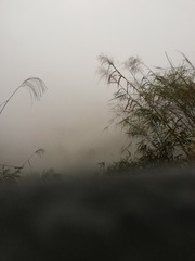 365971