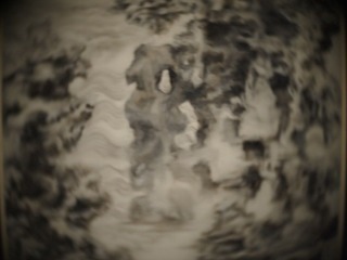 _5191943.JPG