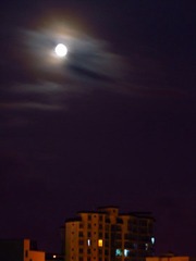 IMG_4305.JPG