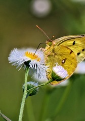 5B5A3D1C-519C-4592-8E64-E6ACD4D4DCC6/L0/001