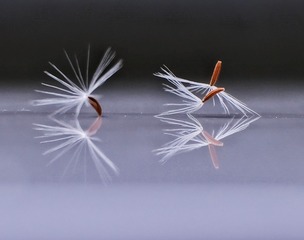 AB6F2BB7-2CB6-410F-83DE-D3D9955E4AD6/L0/001