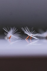 E6C6ABCE-DBF3-4456-9FFE-E88E06C329F9/L0/001