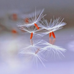 AA548862-A2A1-4BD7-B44F-697BD4B234A7/L0/001