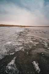 05422AF7-36FE-43BC-A8A6-AF649A9FA267/L0/001