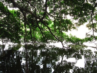 IMG_4007.jpg