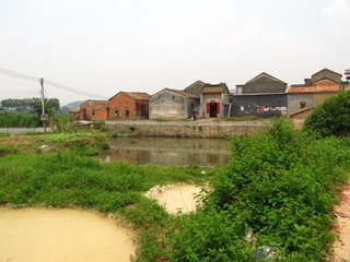 IMG_3934.jpg