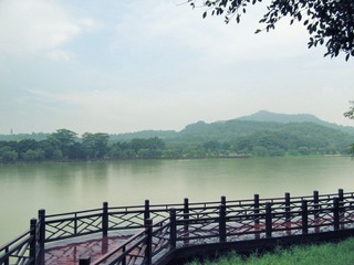 IMG_4326.jpg
