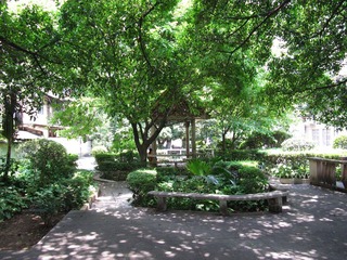 IMG_4245.jpg