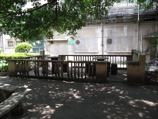 IMG_4246.jpg