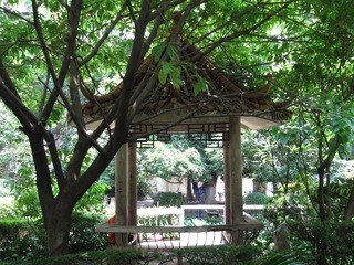 IMG_4247.jpg