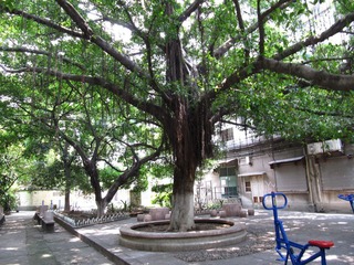 IMG_4251.jpg
