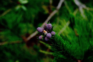 5E858E88-79AF-4926-9B7A-F949D0373FA3/L0/001