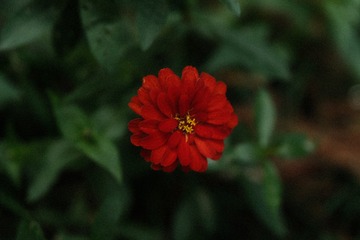 60E10D57-77EF-4FEB-9C78-F4B65AC54355/L0/001