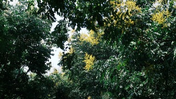 0C22A661-65E2-4C00-8BD7-B017BF8D4265/L0/001