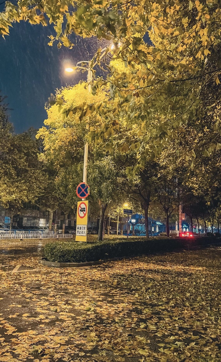 那天晚上落叶铺满了整座城市