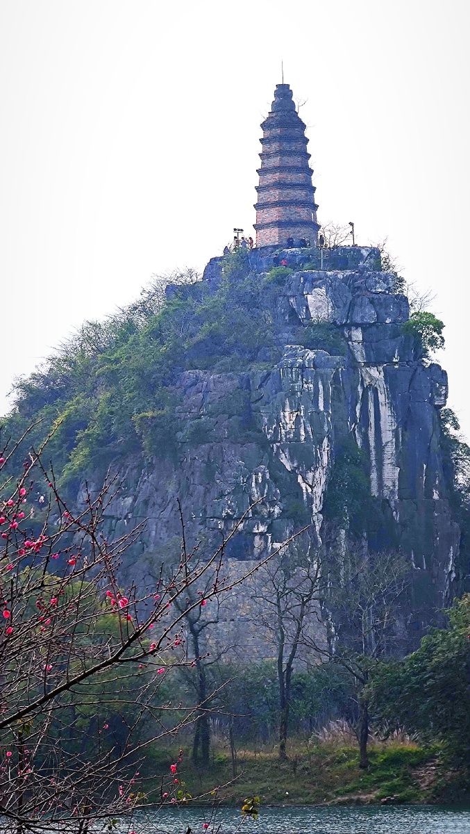 塔山桂林塔山梅花节