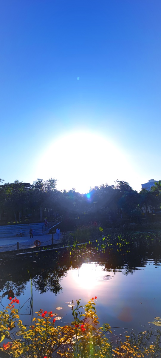 影子也会发光2021年12月摄于深圳晨练时发现小公园里倒映着的太阳发着